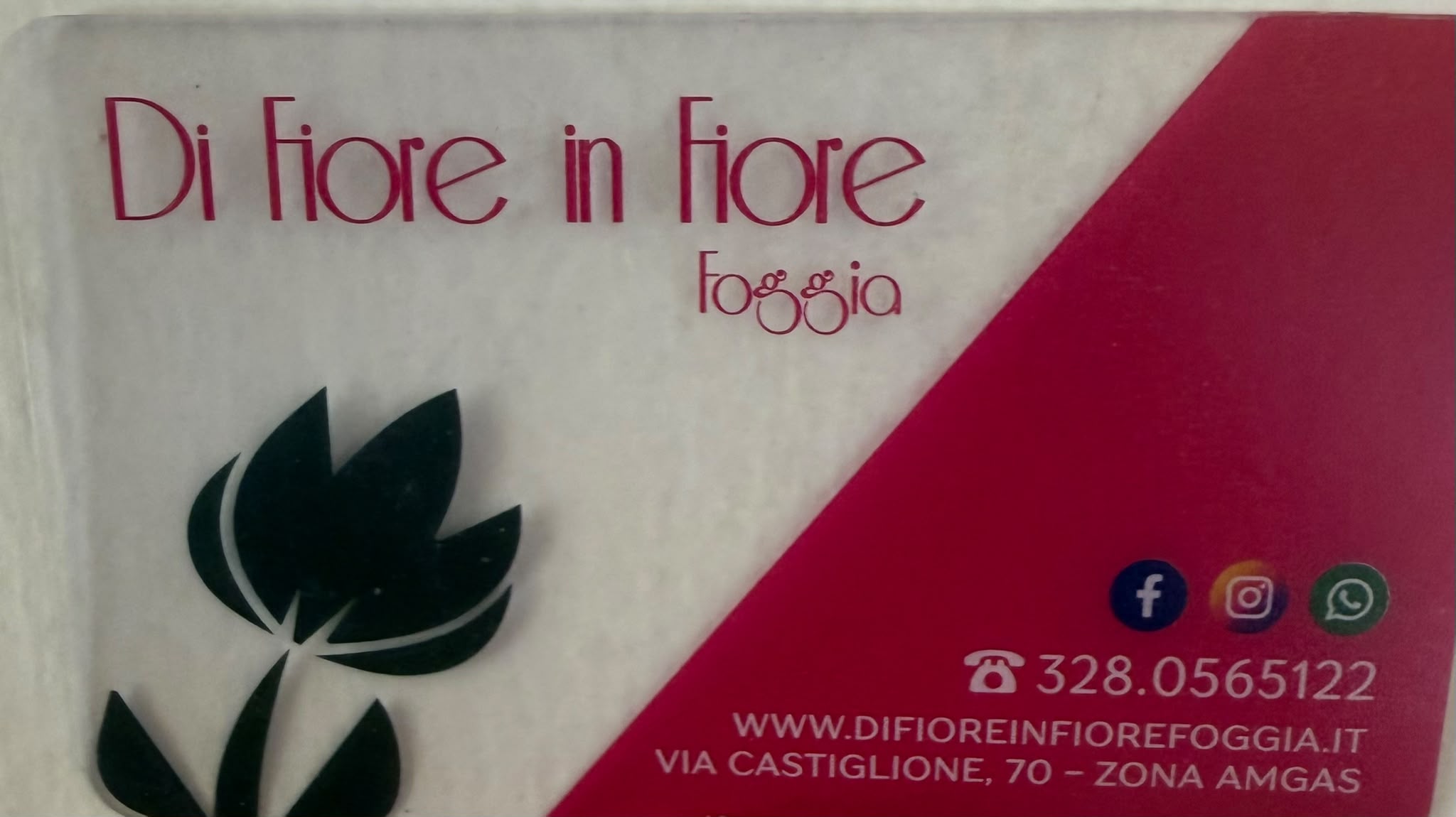 Di Fiore in Fiore